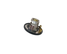 Termostatas 87596477 Case