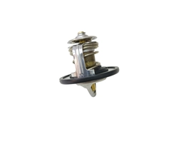 Termostatas 28905A1