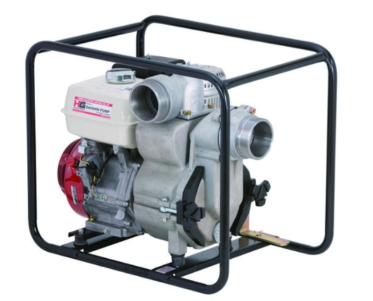 Water pump SWT-80 [DaiShin]